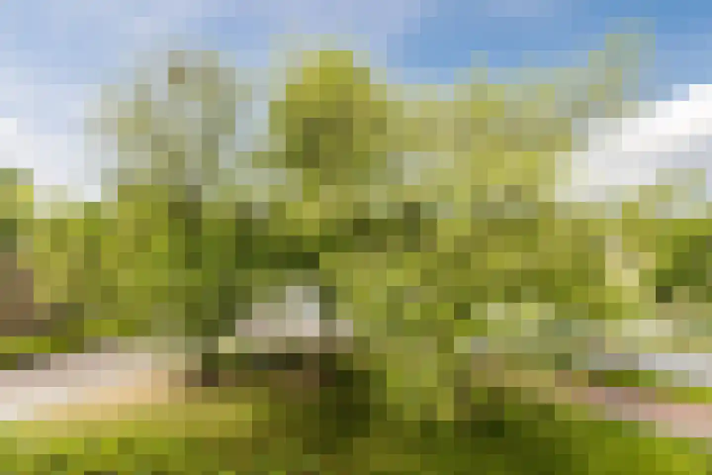 Zesde Buitenpepers 30 's-Hertogenbosch thumbnail 30
