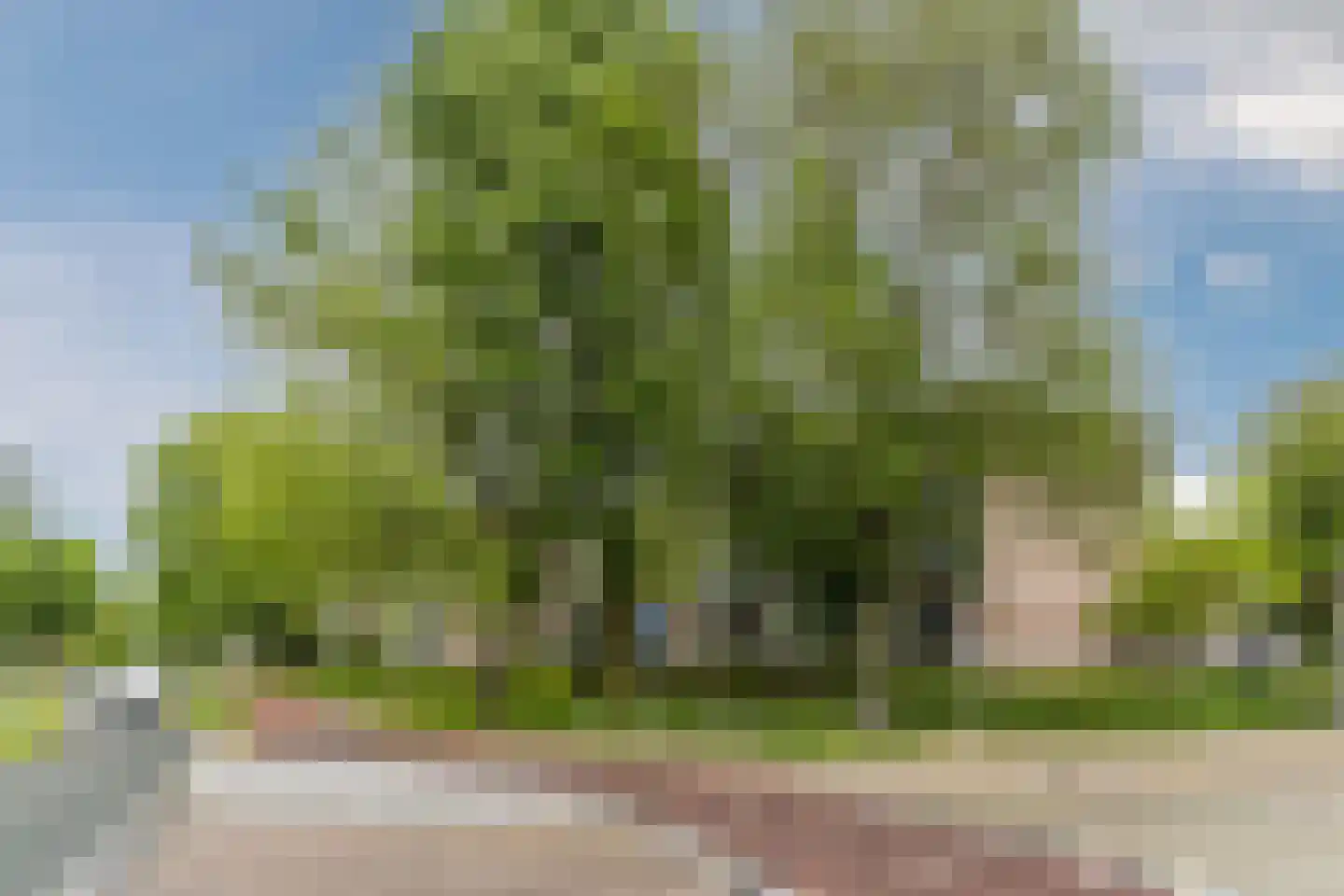 Zesde Buitenpepers 30 's-Hertogenbosch thumbnail 31