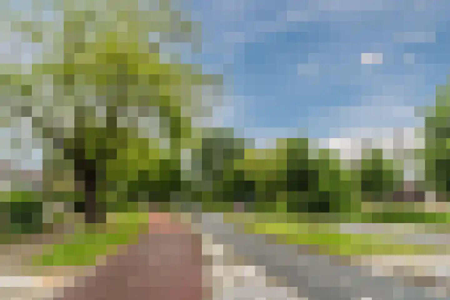 Zesde Buitenpepers 30 's-Hertogenbosch thumbnail 33