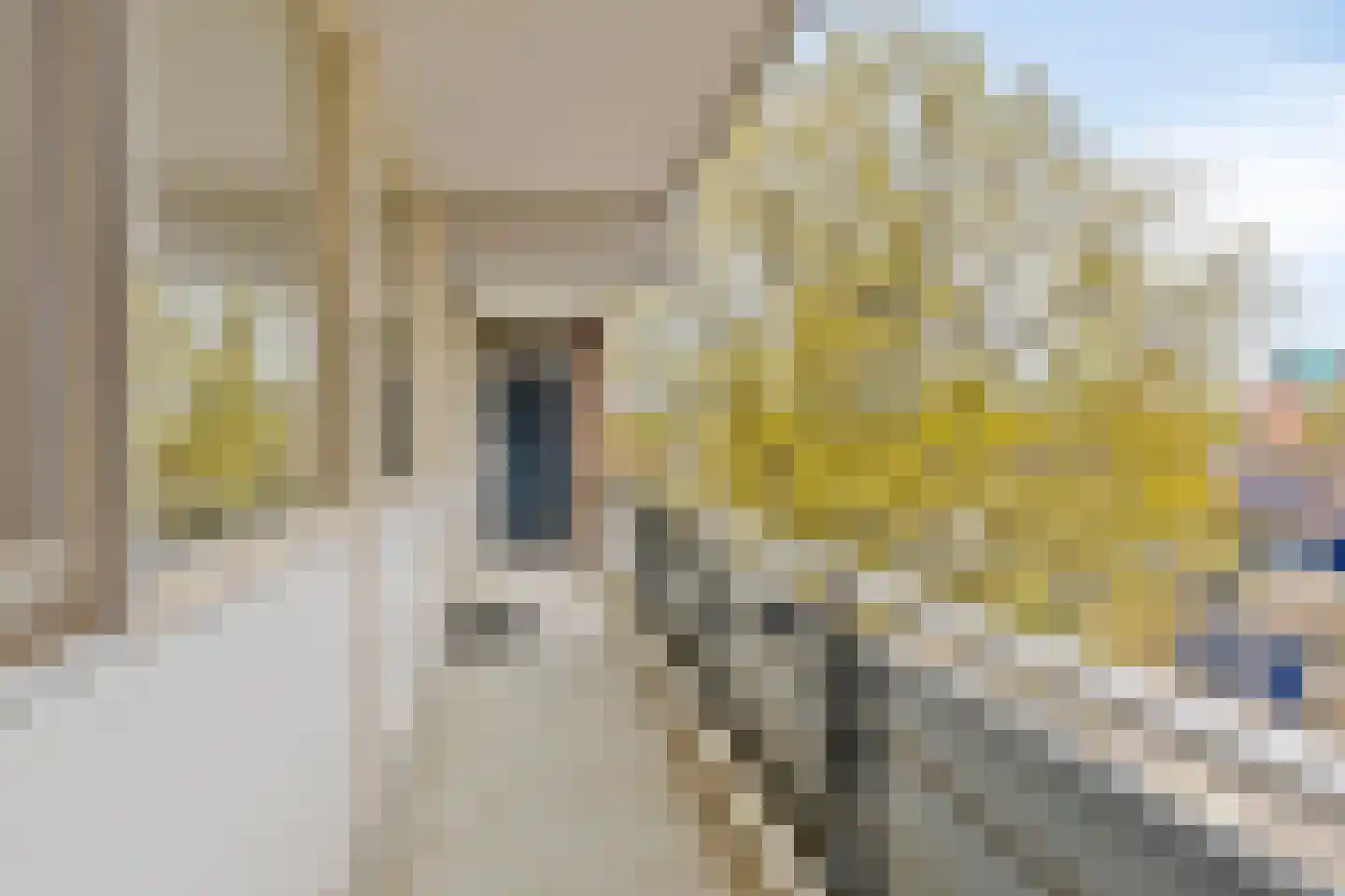 Zesde Buitenpepers 34 's-Hertogenbosch thumbnail 26