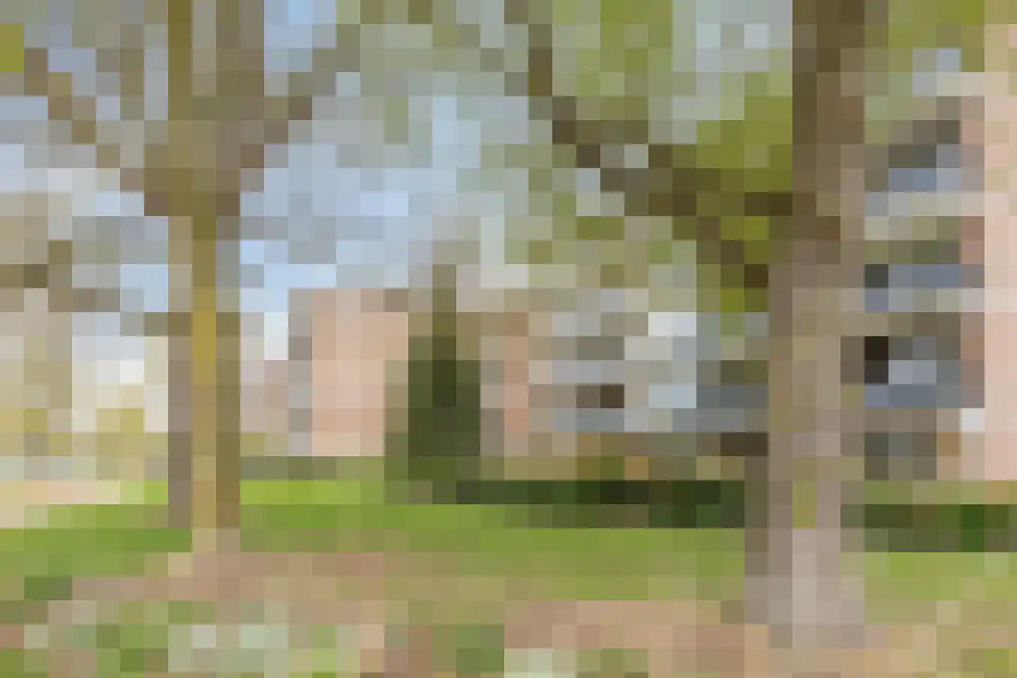 Zesde Buitenpepers 34 's-Hertogenbosch thumbnail 27