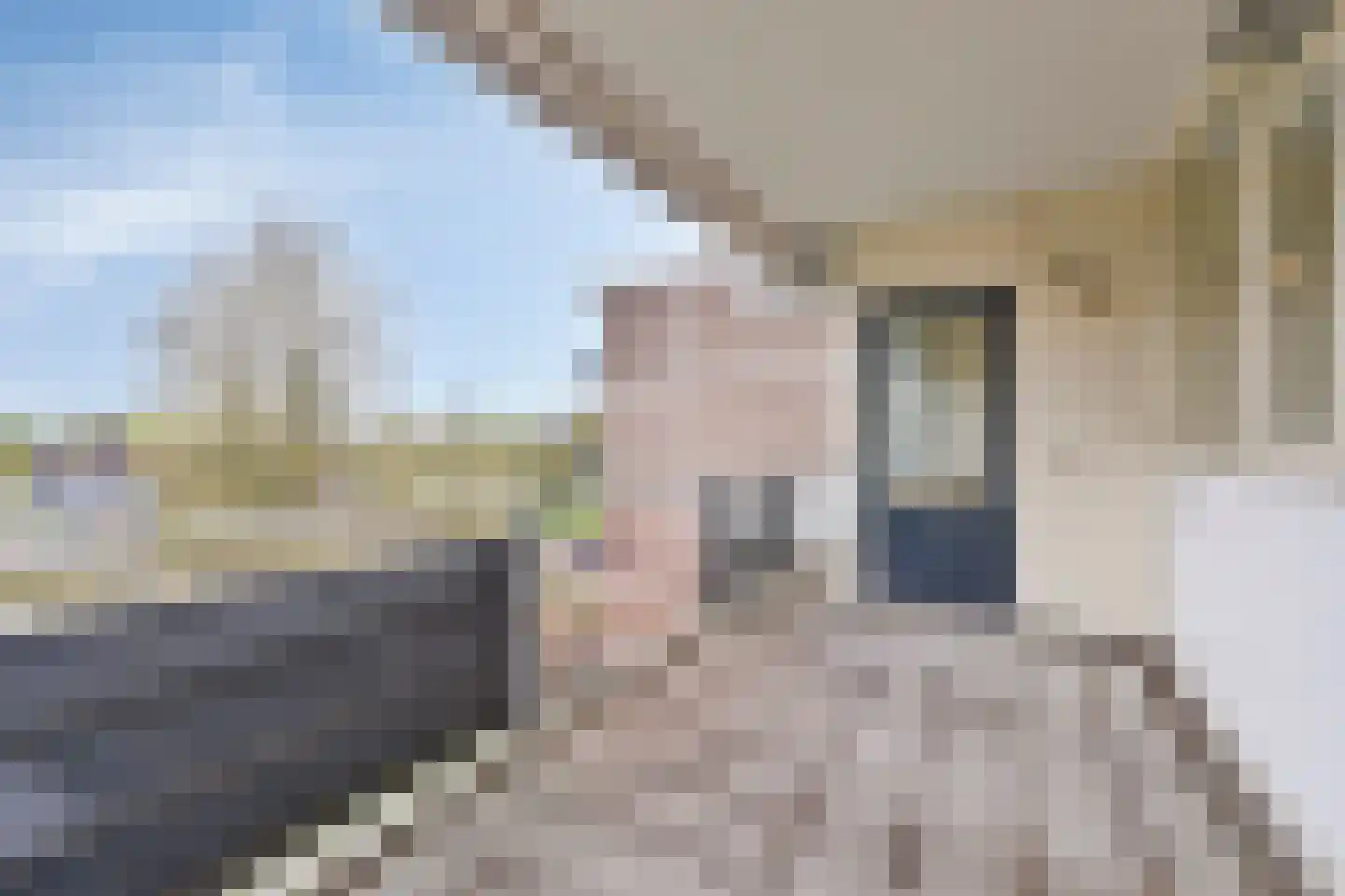 Zesde Buitenpepers 34 's-Hertogenbosch thumbnail 7
