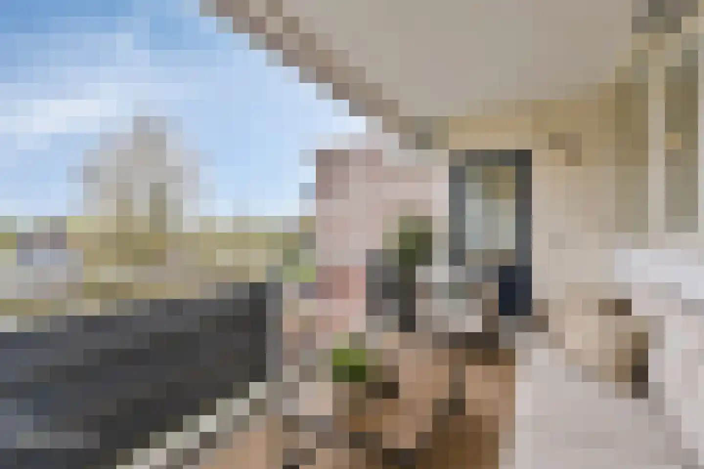 Zesde Buitenpepers 34 's-Hertogenbosch thumbnail 8