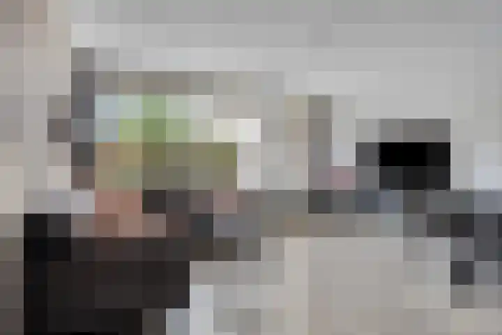 Zesde Buitenpepers 44 's-Hertogenbosch thumbnail 13