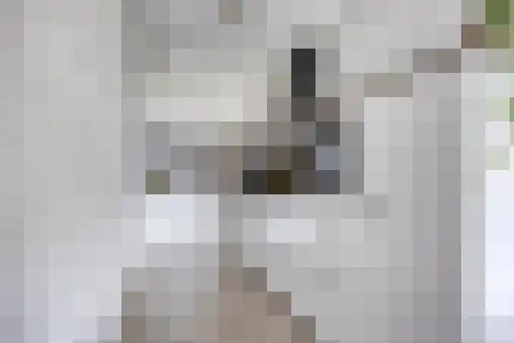 Zesde Buitenpepers 44 's-Hertogenbosch thumbnail 18