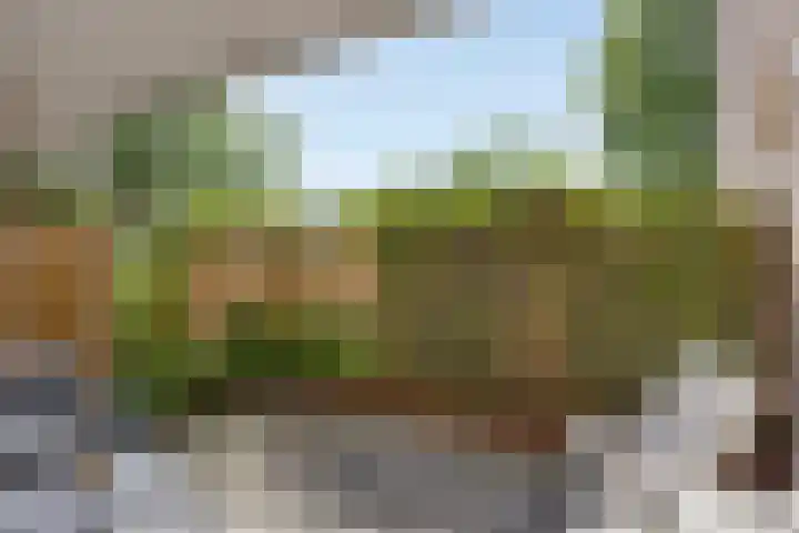 Zesde Buitenpepers 44 's-Hertogenbosch thumbnail 20