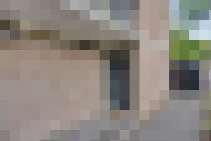 Zesde Buitenpepers 44 's-Hertogenbosch thumbnail 9