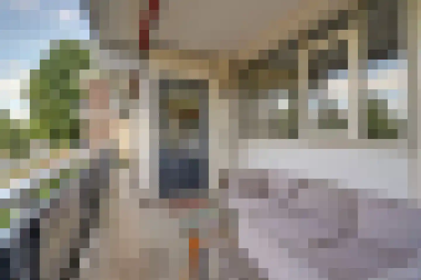 Zesde Buitenpepers 64 's-Hertogenbosch thumbnail 33