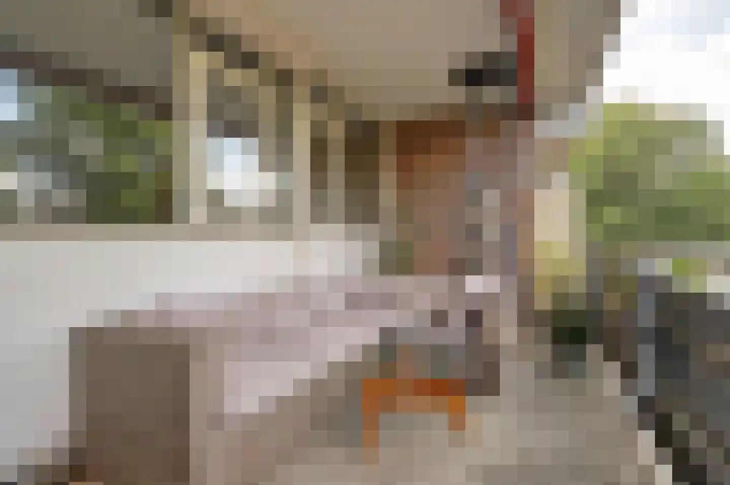 Zesde Buitenpepers 64 's-Hertogenbosch thumbnail 34