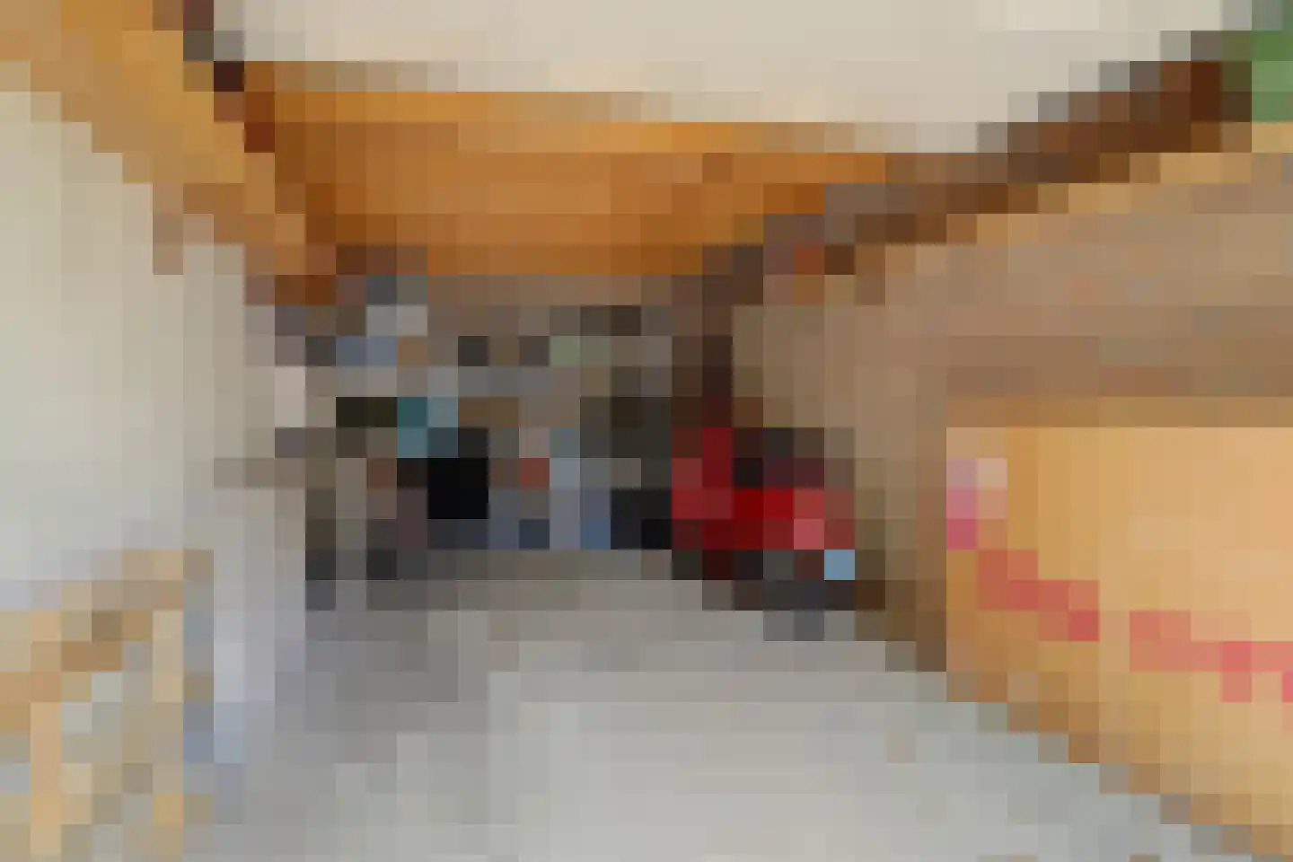 Zesde Buitenpepers 64 's-Hertogenbosch thumbnail 35