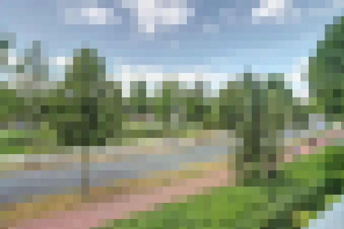 Zesde Buitenpepers 64 's-Hertogenbosch thumbnail 39