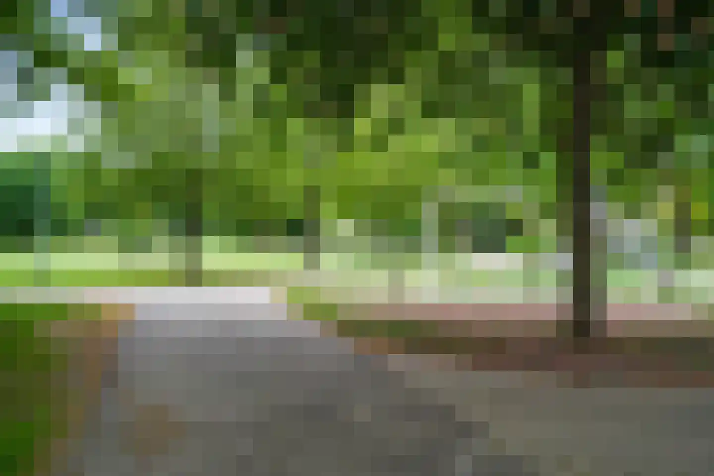 Zesde Buitenpepers 66 's-Hertogenbosch thumbnail 21