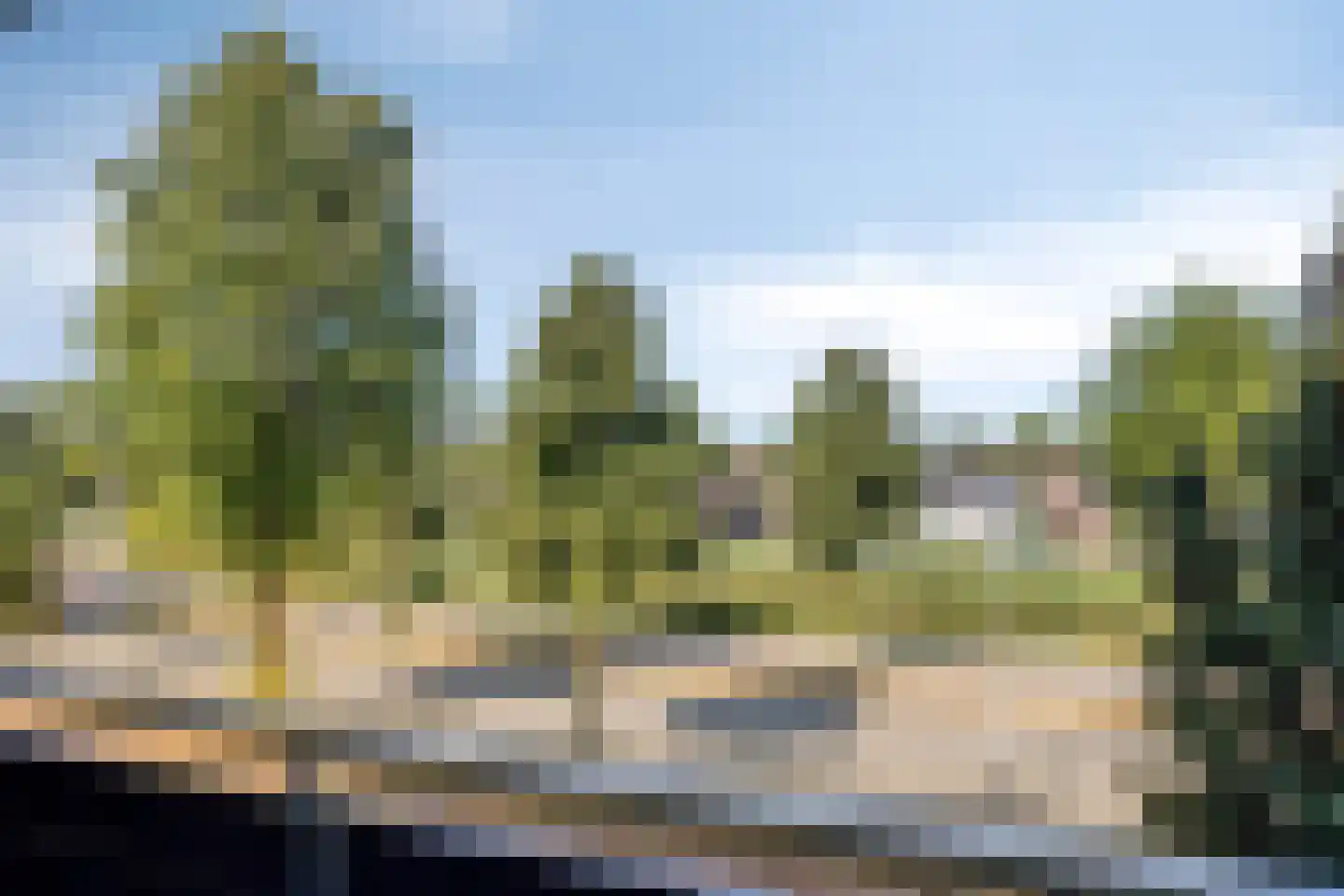 Zesde Buitenpepers 66 's-Hertogenbosch thumbnail 5