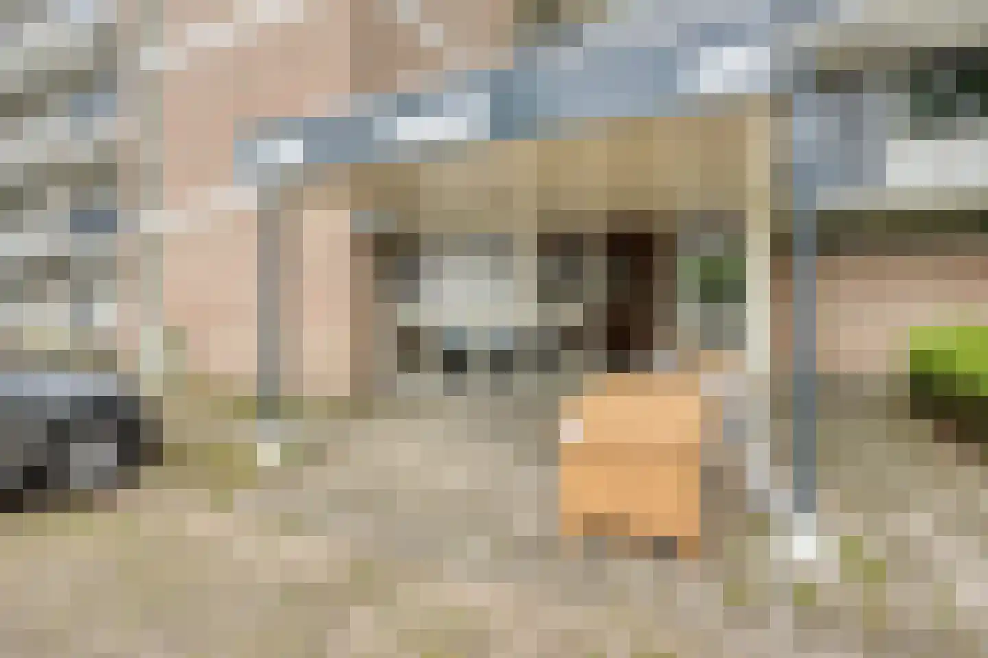 Zesde Buitenpepers 76 's-Hertogenbosch thumbnail 25