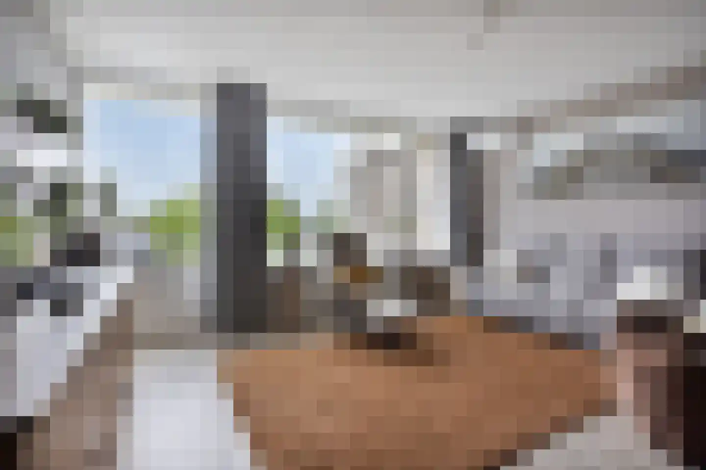 Zesde Buitenpepers 76 's-Hertogenbosch thumbnail 5