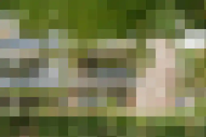 Zesde Buitenpepers 8 's-Hertogenbosch thumbnail 23