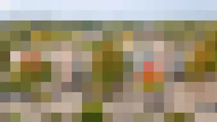 Zesde Buitenpepers 8 's-Hertogenbosch thumbnail 26