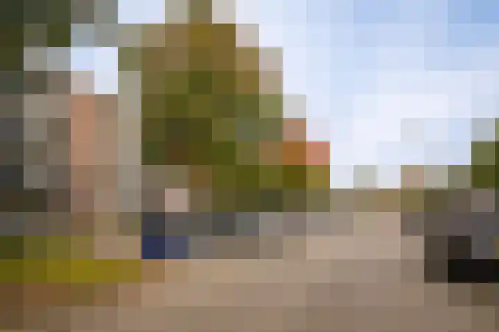 Zesde Buitenpepers 8 's-Hertogenbosch thumbnail 29