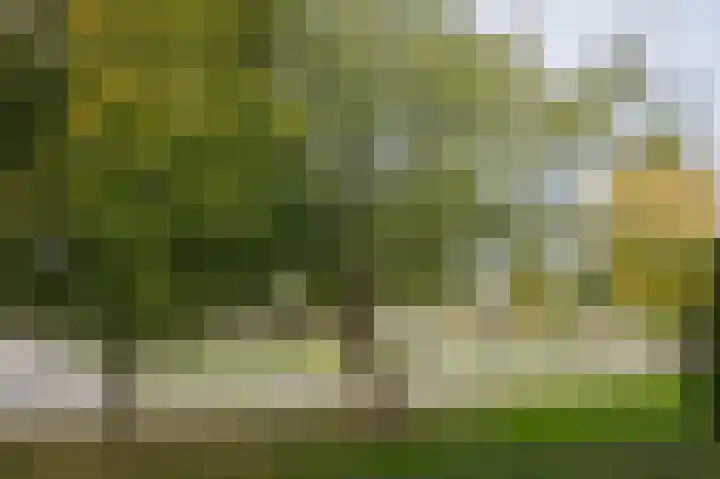 Zesde Buitenpepers 8 's-Hertogenbosch thumbnail 30