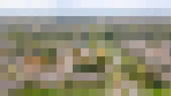 Zesde Buitenpepers 8 's-Hertogenbosch thumbnail 32