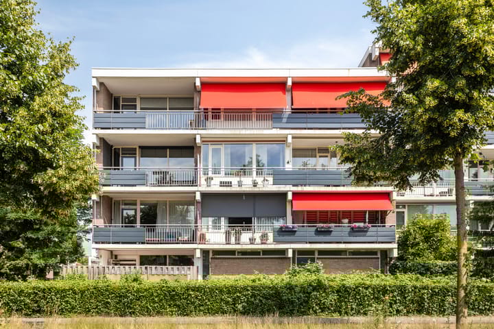 Zesde Buitenpepers 80 dans 's-Hertogenbosch photo