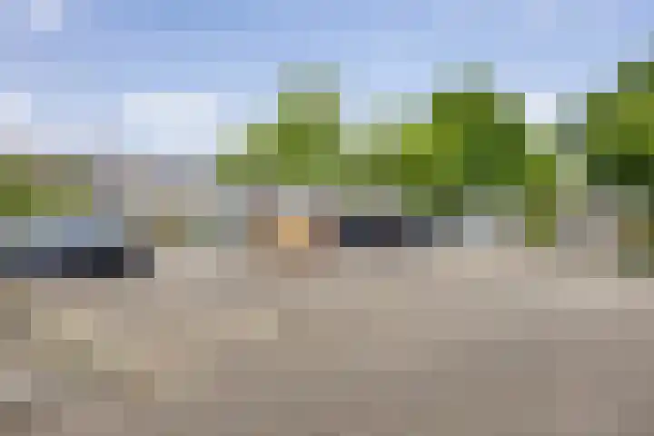 Zesde Buitenpepers 80 's-Hertogenbosch thumbnail 18