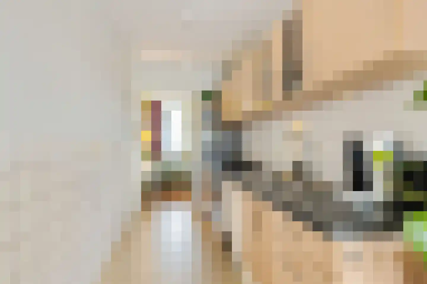 Zesde Buitenpepers 88 's-Hertogenbosch thumbnail 8