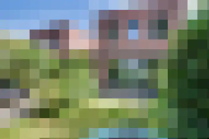 Zesde Donk 70 's-Hertogenbosch thumbnail 26