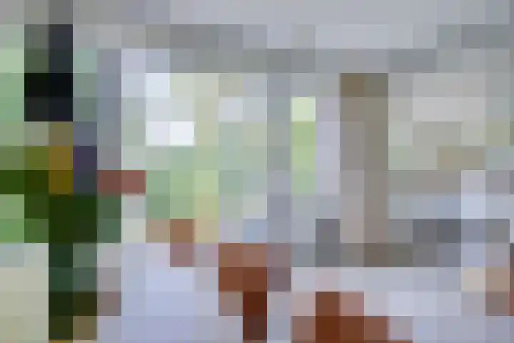 Zesde Donk 70 's-Hertogenbosch thumbnail 8
