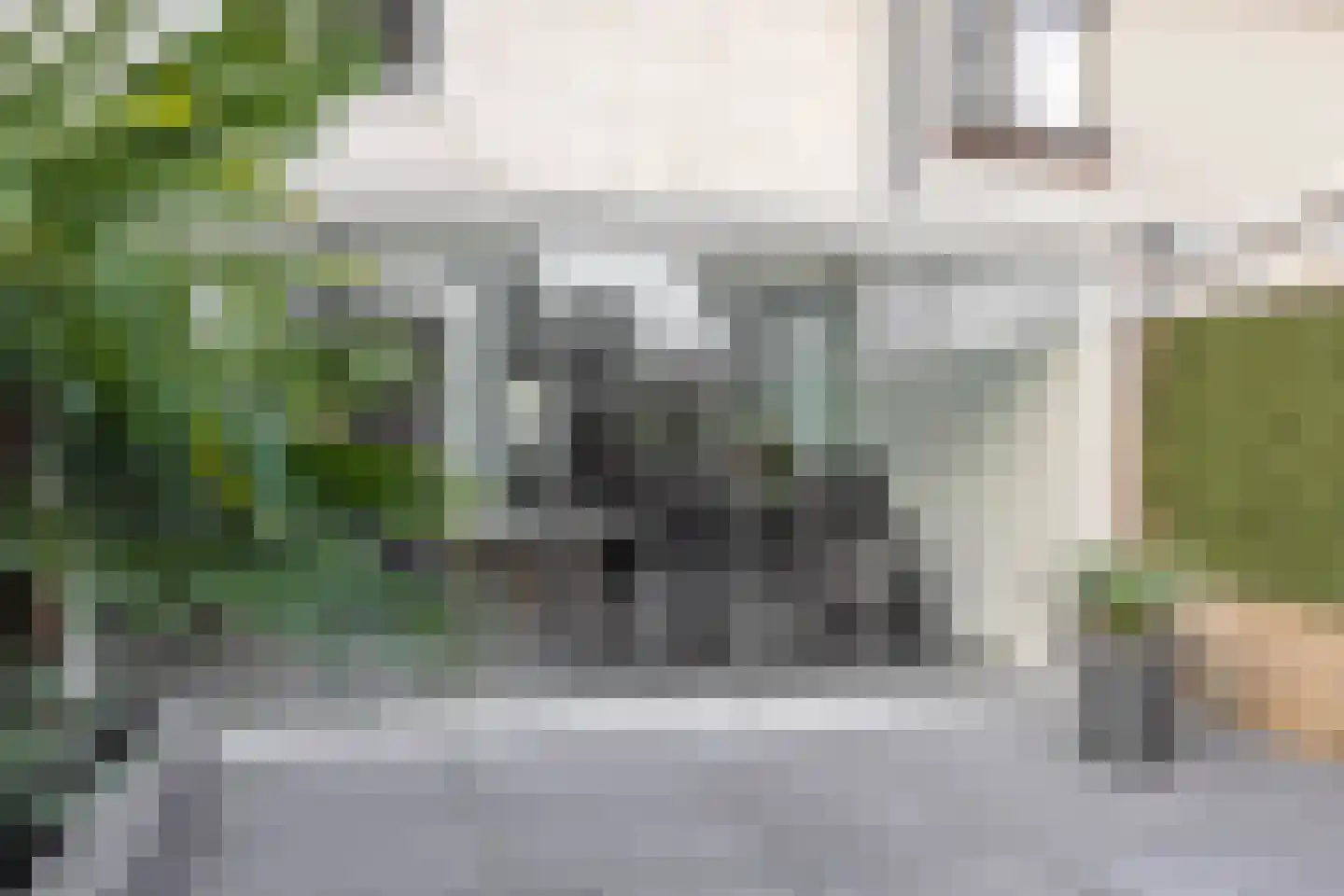 Zesde Haren 34 's-Hertogenbosch thumbnail 14