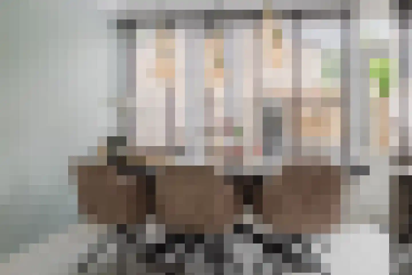 Zesde Haren 46 's-Hertogenbosch thumbnail 18