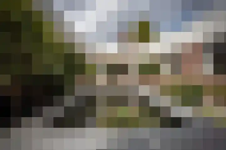 Zesde Herven 13 's-Hertogenbosch thumbnail 29