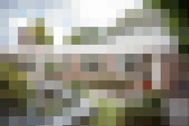 Zesde Herven 13 's-Hertogenbosch thumbnail 31