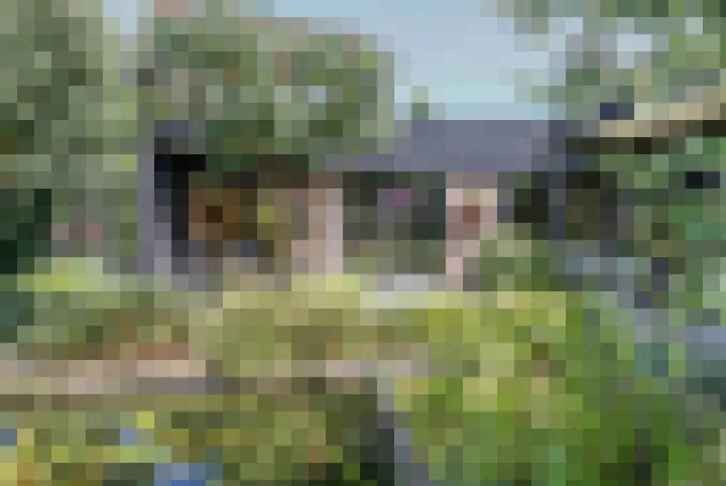 Zesde Herven 14 's-Hertogenbosch thumbnail 29
