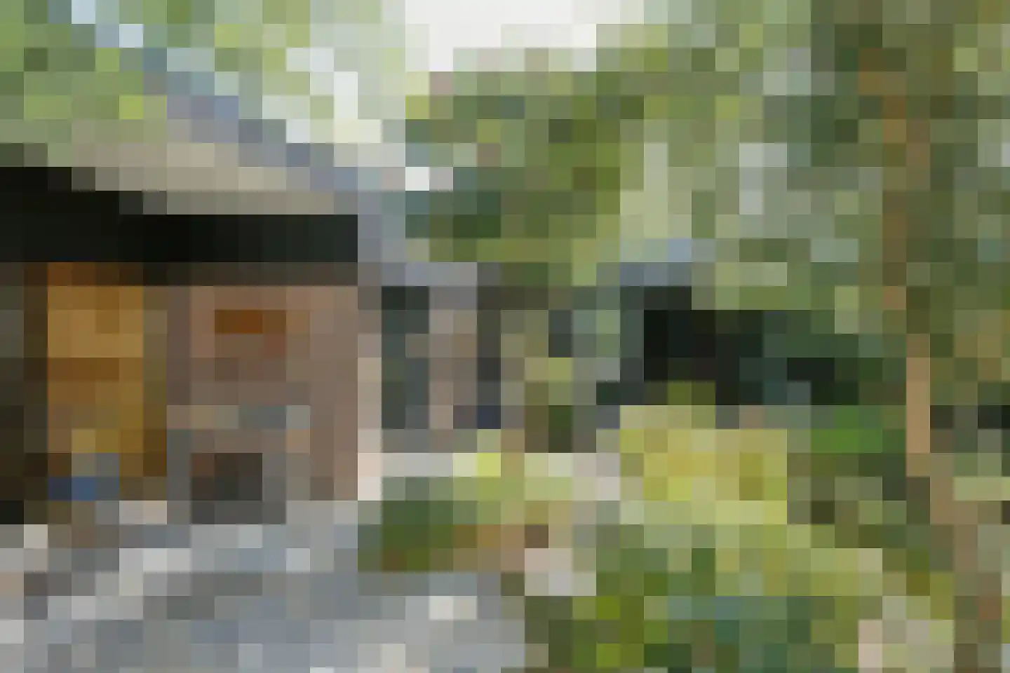 Zesde Herven 14 's-Hertogenbosch thumbnail 30