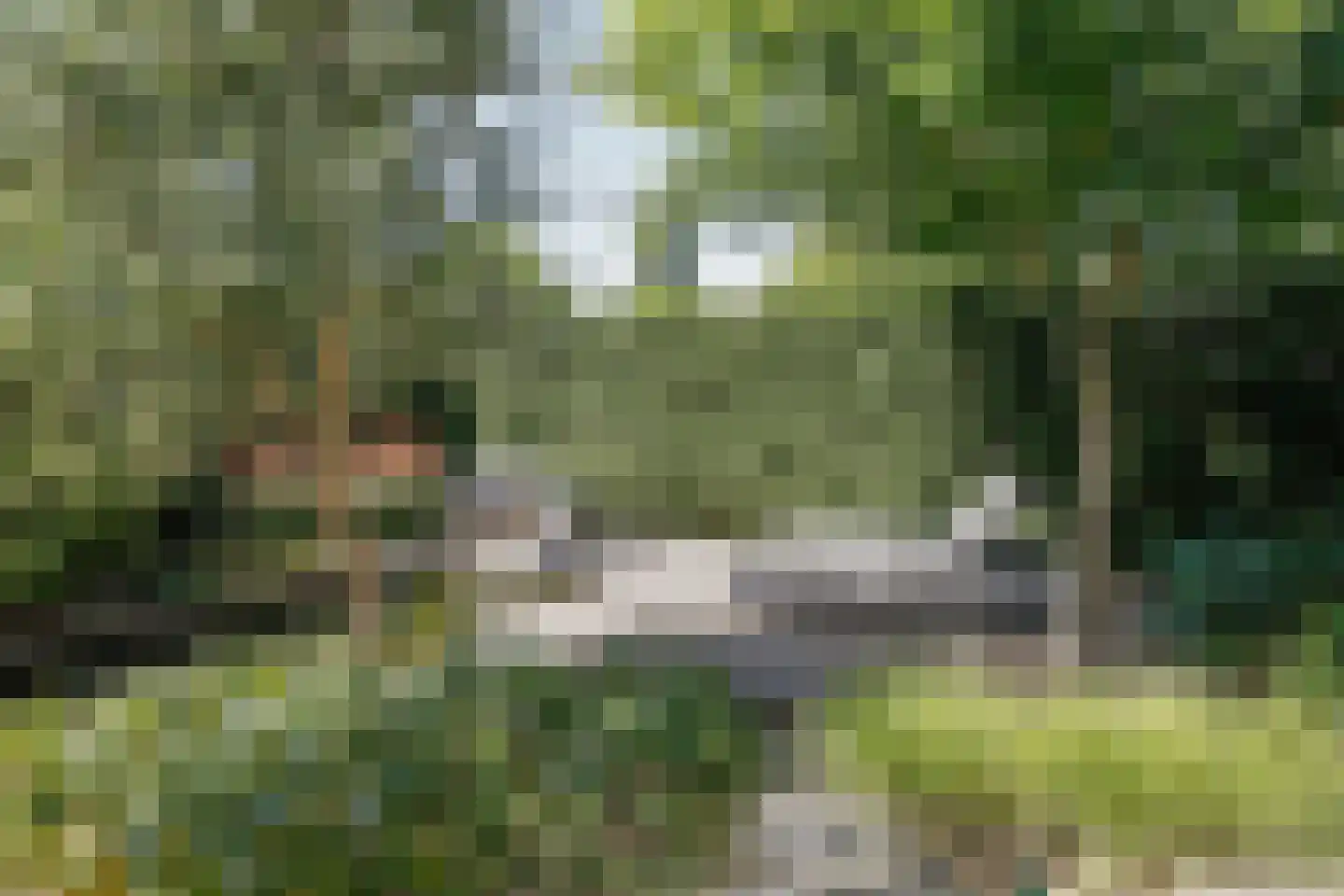 Zesde Herven 14 's-Hertogenbosch thumbnail 32
