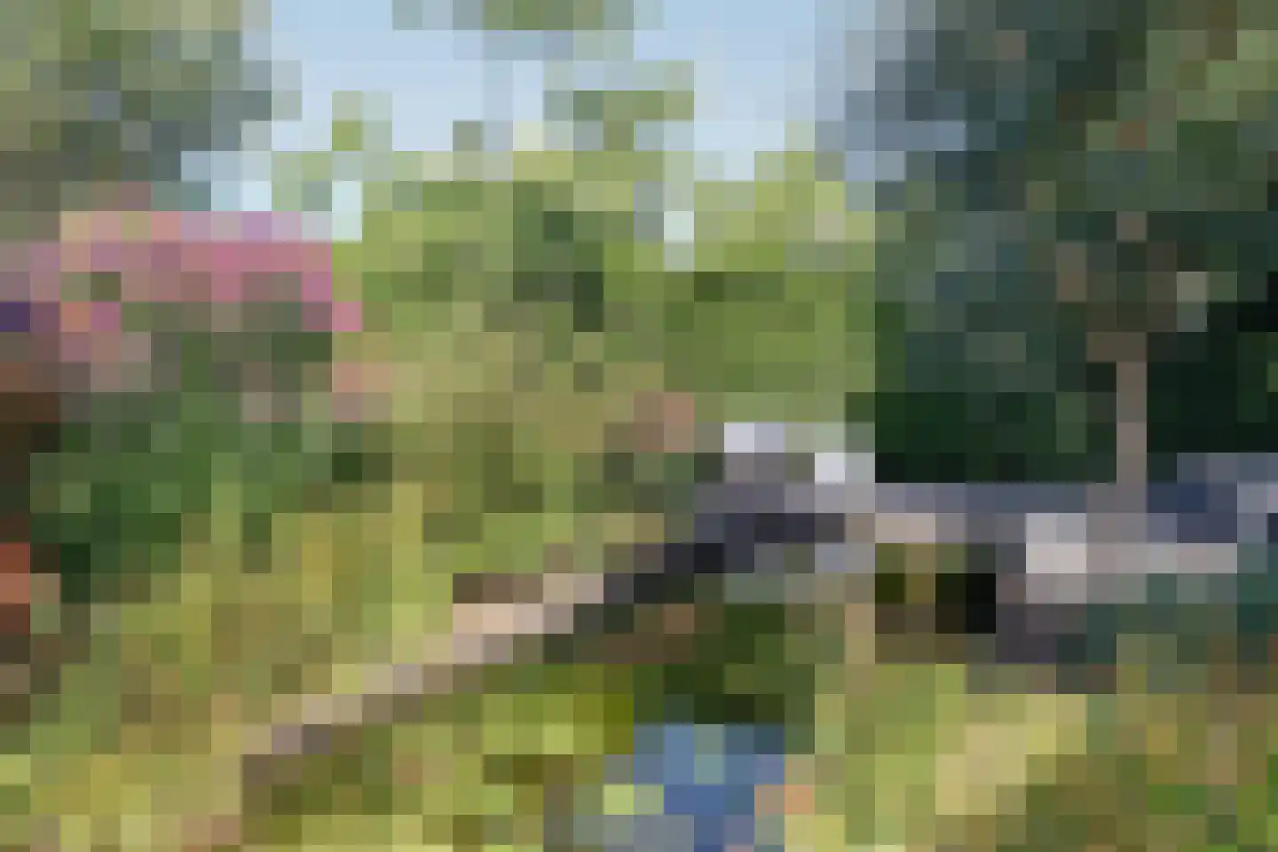 Zesde Herven 14 's-Hertogenbosch thumbnail 33