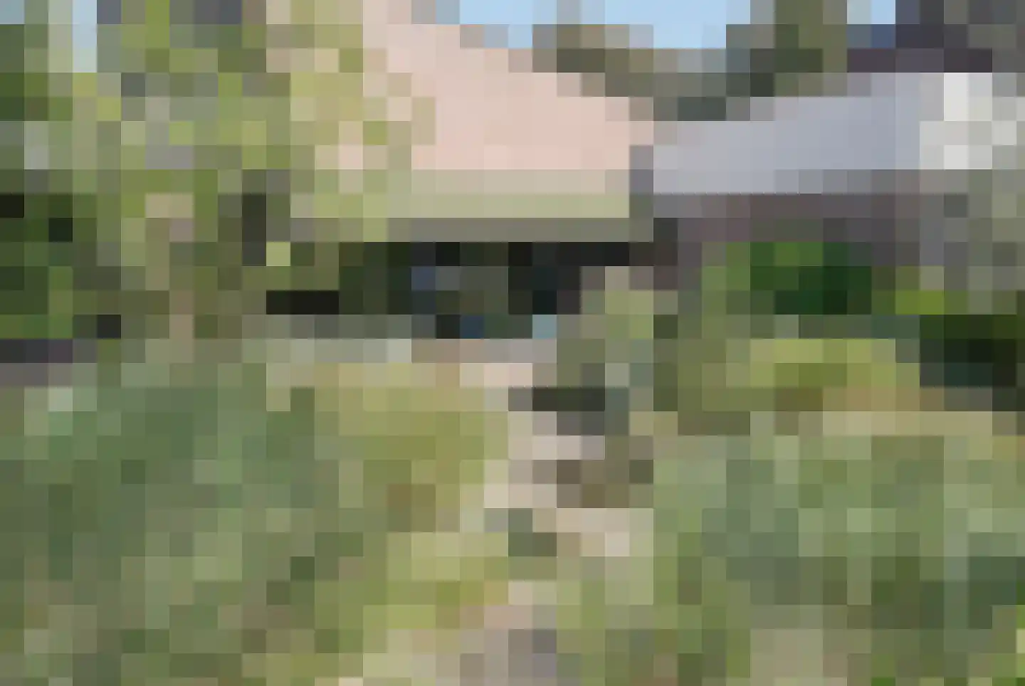 Zesde Herven 14 's-Hertogenbosch thumbnail 37