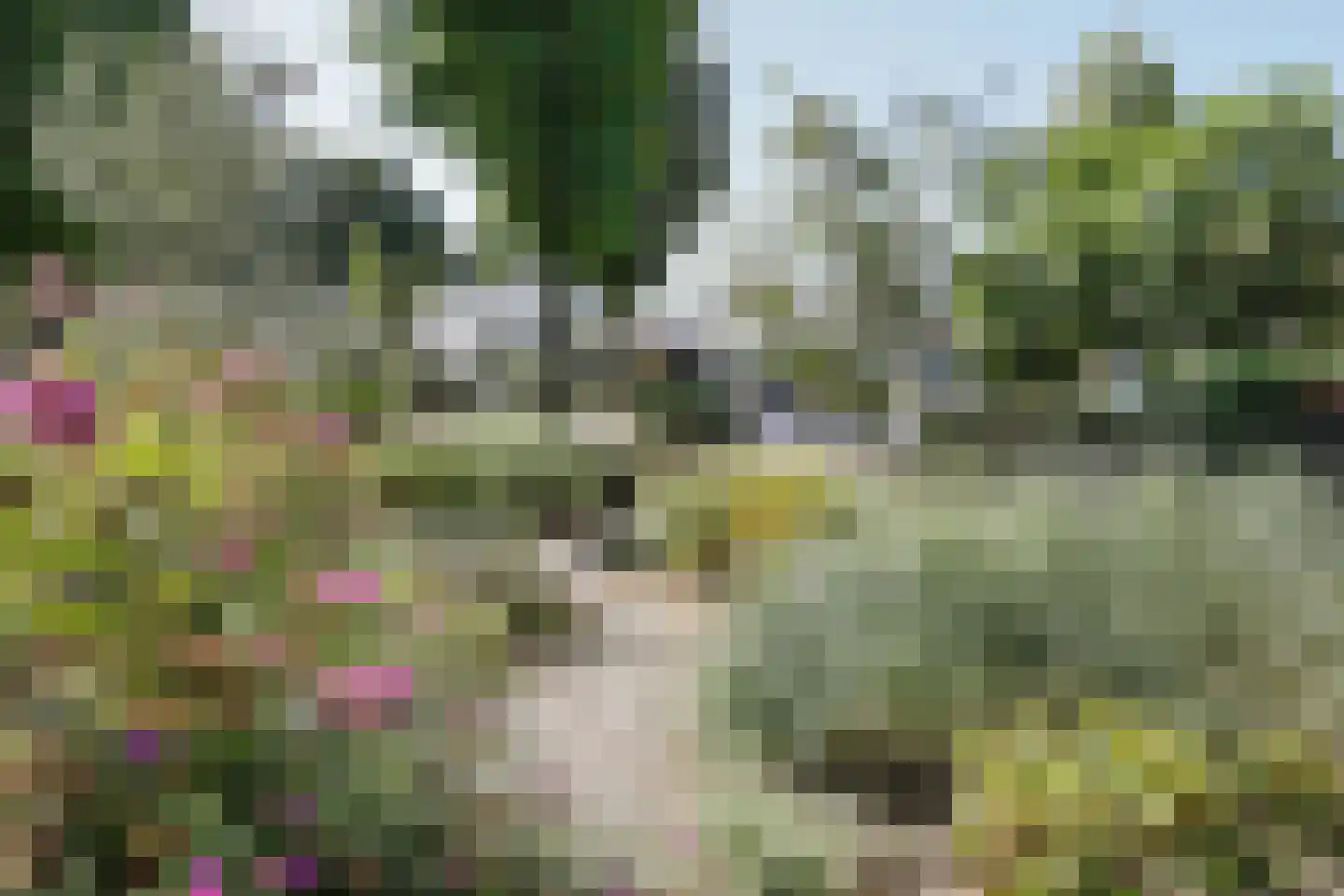 Zesde Herven 14 's-Hertogenbosch thumbnail 39