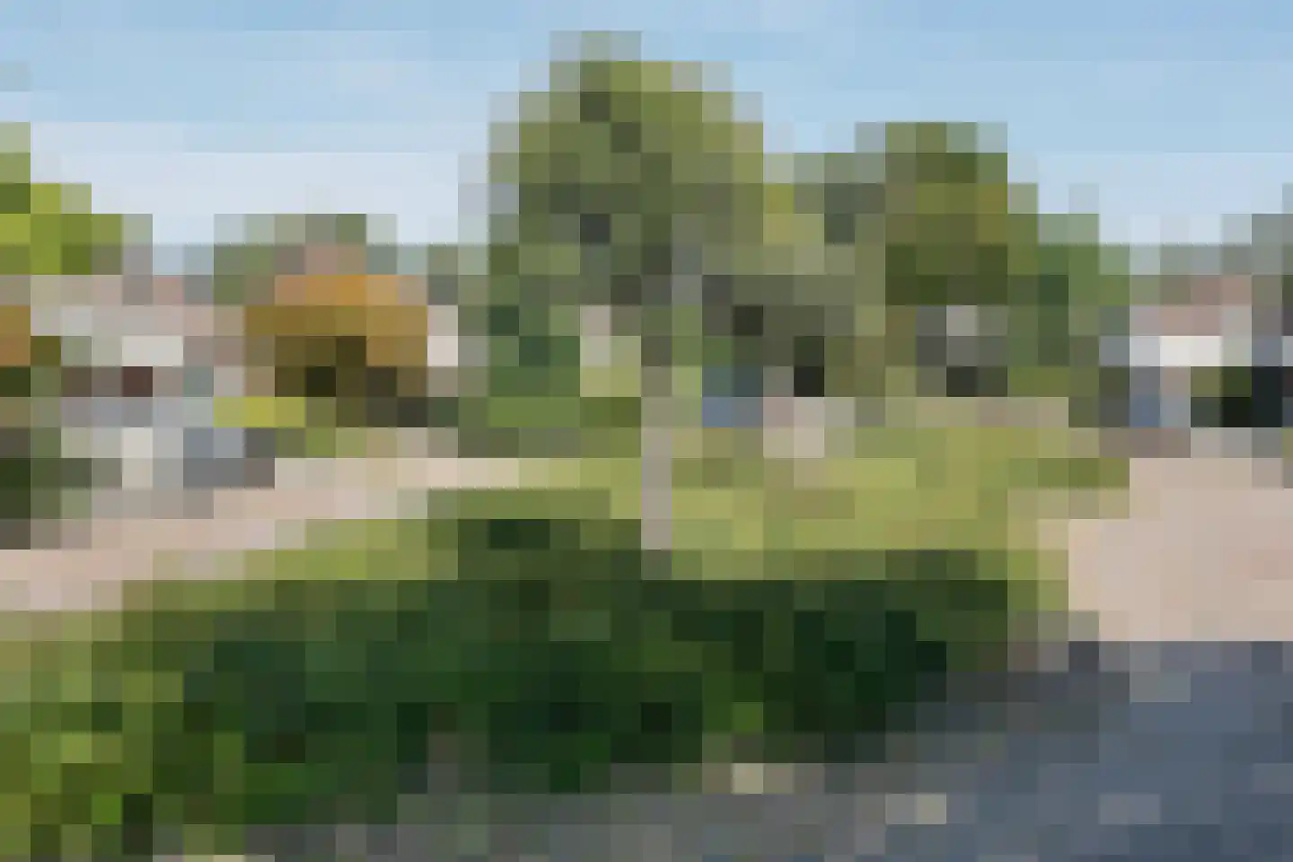 Zesde Herven 14 's-Hertogenbosch thumbnail 40