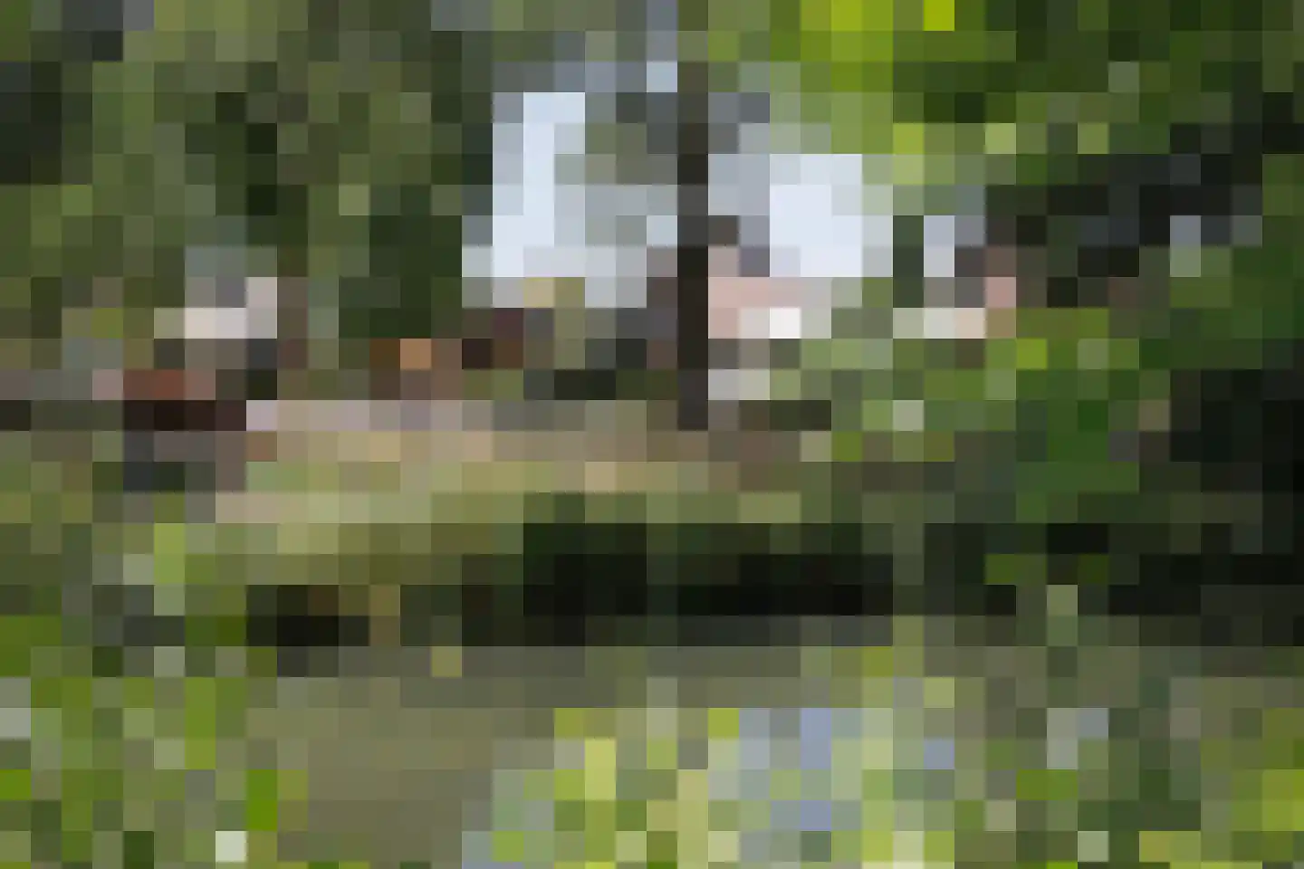 Zesde Herven 14 's-Hertogenbosch thumbnail 41