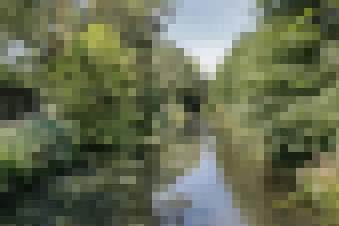 Zesde Herven 14 's-Hertogenbosch thumbnail 42