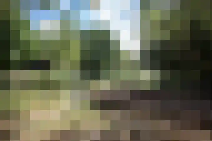 Zesde Herven 15 's-Hertogenbosch thumbnail 13