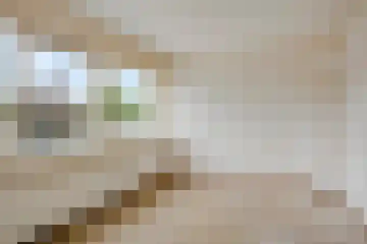 Zesde Slagen 3 's-Hertogenbosch thumbnail 17