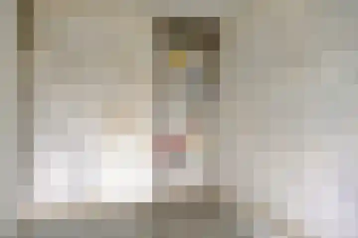 Zesde Slagen 3 's-Hertogenbosch thumbnail 20
