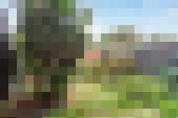 Zesde Slagen 3 's-Hertogenbosch thumbnail 4