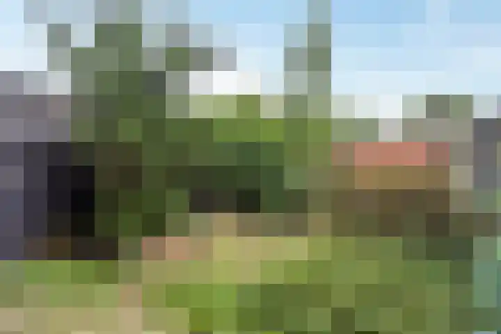 Zesde Slagen 3 's-Hertogenbosch thumbnail 5