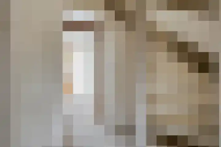 Zesde Slagen 3 's-Hertogenbosch thumbnail 8