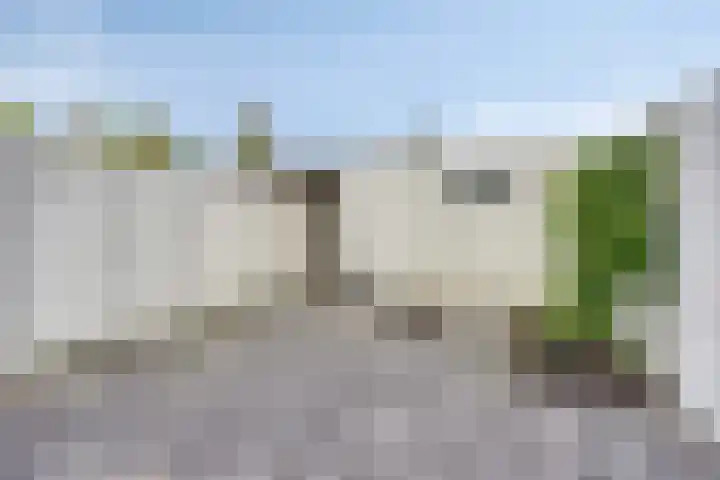 Zesde Slagen 38 's-Hertogenbosch thumbnail 22