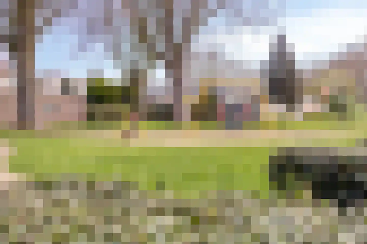 Zesde Slagen 5 's-Hertogenbosch thumbnail 30
